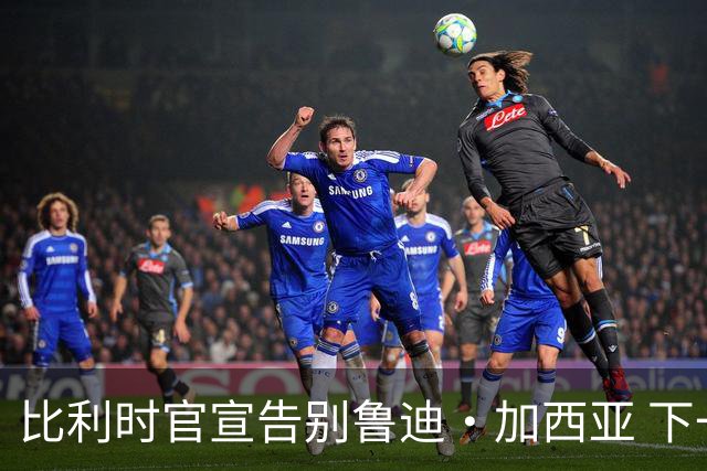 比利时官宣告别鲁迪·加西亚 下一任主帅是荷兰人？